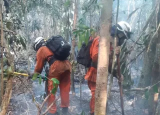 Base Florestal Sul conta com mais 50 bombeiros militares e 10 viaturas no apoio ao combate aos incêndios. Focos de incêndio que atingem Prado, Itamarajú e Mucurí.