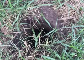 Bebê é encontrado vivo depois de passar dois dias dentro de buraco na Bahia