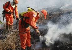 Bombeiros completam 100 dias de operação contra incêndios florestais com redução de 29% nos focos de calor