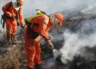 Bombeiros completam 100 dias de operação contra incêndios florestais com redução de 29% nos focos de calor