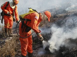 Bombeiros completam 100 dias de operação contra incêndios florestais com redução de 29% nos focos de calor