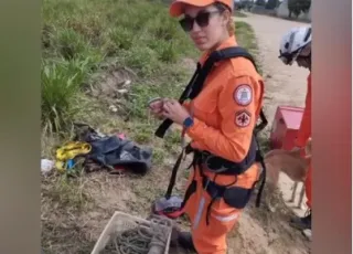 Bombeiros do 18º BBM  de Teixeira de Freitas resgatam filhotes de gato em cisterna do bairro Estância Biquini