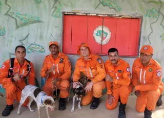 Bombeiros Militares do 18ºBBM de Teixeira de Freitas realizam resgate de cachorros presos em local de difícil acesso