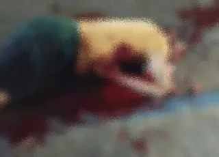 Brutal: Homem morre após ser atacado com vários golpes de facão em Argolo, em Nova Viçosa