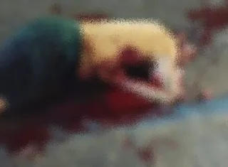 Brutal: Homem morre após ser atacado com vários golpes de facão em Argolo, em Nova Viçosa