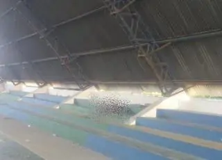 Brutal -Morador de rua é morto a pedradas dentro de quadra de esportes no Guarani, interior do Prado