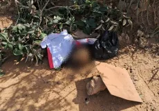 Cabeça é encontrada em Santa Cruz Cabrália e pode ser de jovem decapitada; corpo foi achado há 9 dias