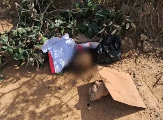 Cabeça é encontrada em Santa Cruz Cabrália e pode ser de jovem decapitada; corpo foi achado há 9 dias