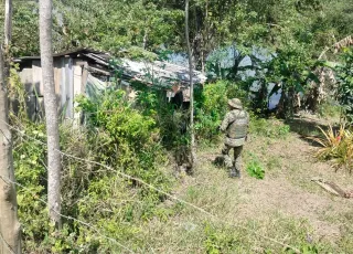 Caçadores fogem antes da chegada da polícia, mas deixam armas e munições para trás em Floresta Azul