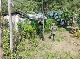 Caçadores fogem antes da chegada da polícia, mas deixam armas e munições para trás em Floresta Azul