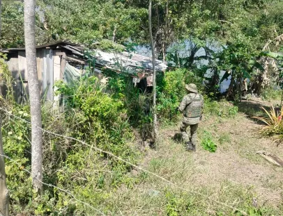 Caçadores fogem antes da chegada da polícia, mas deixam armas e munições para trás em Floresta Azul