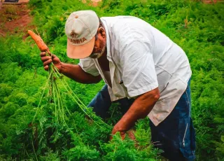 Cadastros para a Feira da Agricultura Familiar em Teixeira de Freitas retornam na próxima quarta (01)