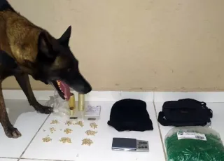 Cadela do 8° BPM descobre ponto de armazenamento de drogas, em Porto Seguro