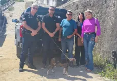 Cadela, vítima de maus-tratos, é resgatada pela Polícia Civil em Medeiros Neto