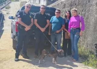 Cadela, vítima de maus-tratos, é resgatada pela Polícia Civil em Medeiros Neto