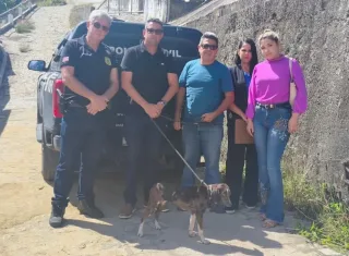 Cadela, vítima de maus-tratos, é resgatada pela Polícia Civil em Medeiros Neto