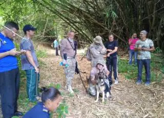 Cães da polícia são treinados para busca de pessoas desaparecidas e foragidas