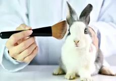 Câmara dos Deputados aprova proibição de testes com animais para cosméticos e produtos de higiene