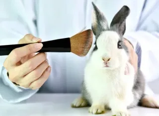 Câmara dos Deputados aprova proibição de testes com animais para cosméticos e produtos de higiene