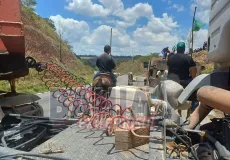 Caminhão boiadeiro tomba e interdita BR-101 em Itamaraju; dezenas de bovinos morrem