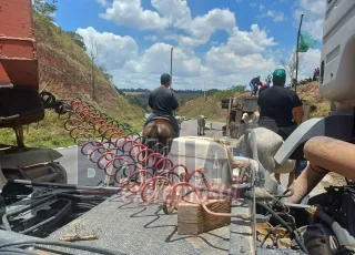 Caminhão boiadeiro tomba e interdita BR-101 em Itamaraju; dezenas de bovinos morrem