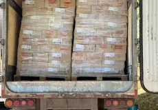 Caminhão com 25 toneladas de salsicha vencida é apreendido pela Polícia Civil na Bahia