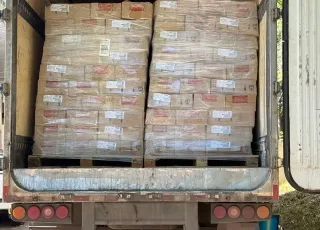 Caminhão com 25 toneladas de salsicha vencida é apreendido pela Polícia Civil na Bahia