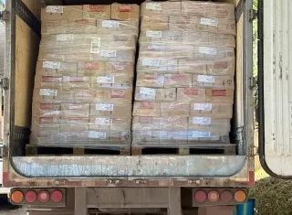 Caminhão com 25 toneladas de salsicha vencida é apreendido pela Polícia Civil na Bahia