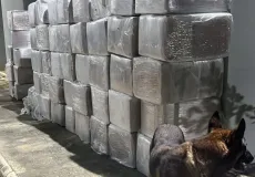 Caminhão com 3 toneladas de maconha é interceptado em operação na BR-116