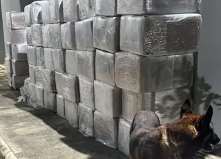 Caminhão com 3 toneladas de maconha é interceptado em operação na BR-116