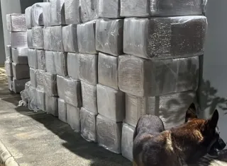 Caminhão com 3 toneladas de maconha é interceptado em operação na BR-116