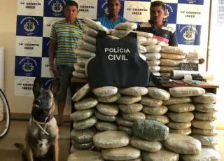 Cão da Polícia Civil localiza 132 kg de maconha enterrados