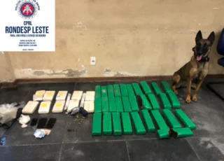 Cão da Rondesp Leste encontra 50 kg de entorpecentes. Um criminoso morreu na troca de tiros