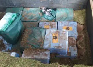 Cão da Rondesp Leste fareja meia tonelada de cocaína