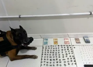 Cão do 8° BPM auxilia policiais militares durante ocorrência de apreensão de drogas, em Porto Seguro