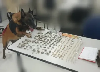 Cão do 8º BPM localiza ecstasy, maconha e cocaína, em Trancoso