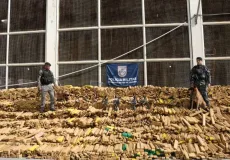 Cão farejador ajuda PM a localizar quase 50 toneladas de maconha em bunker no Rio de Janeiro