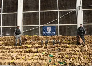 Cão farejador ajuda PM a localizar quase 50 toneladas de maconha em bunker no Rio de Janeiro
