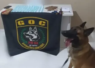 Cão policial do 8° BPM auxilia na apreensão de drogas, em Porto Seguro