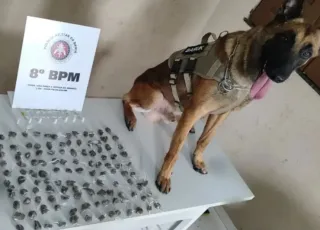 Cão policial do 8° BPM auxilia na localização de drogas, em Santa Cruz Cabrália