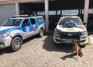 Cão policial encontra 23,5 quilos de maconha durante operação; E traficantes morrem na troca de tiros com a polícia