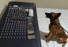 Cão policial K9 Baruk auxilia PM e carga de drogas é apreendida em Coroa Vermelha