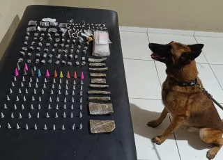 Cão policial K9 Baruk auxilia PM e carga de drogas é apreendida em Coroa Vermelha