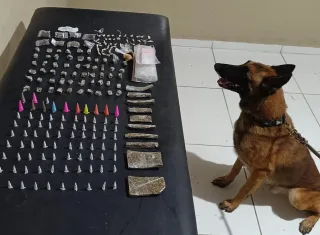 Cão policial K9 Baruk auxilia PM e carga de drogas é apreendida em Coroa Vermelha