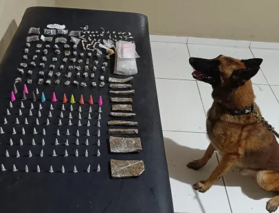 Cão policial K9 Baruk auxilia PM e carga de drogas é apreendida em Coroa Vermelha