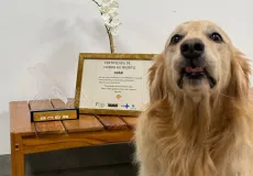 “Cão terapeuta” Lola completa um ano de atuação no Hospital Ortopédico do Estado da Bahia