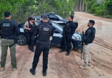 Caravelas. Polícia Civil prende três homens acusados de furto de madeira.