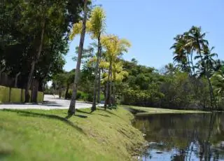 Caravelas se destaca com paisagismo em espaços públicos
