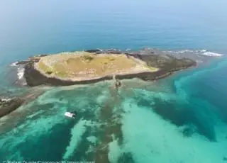 Caravelas vai sediar o l FESTIVAL DIVERSIDADE: Conecte-se à sua natureza