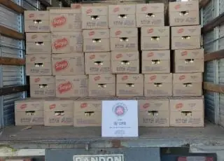 Carga avaliada em R$ 237 mil é recuperada pelo PETO